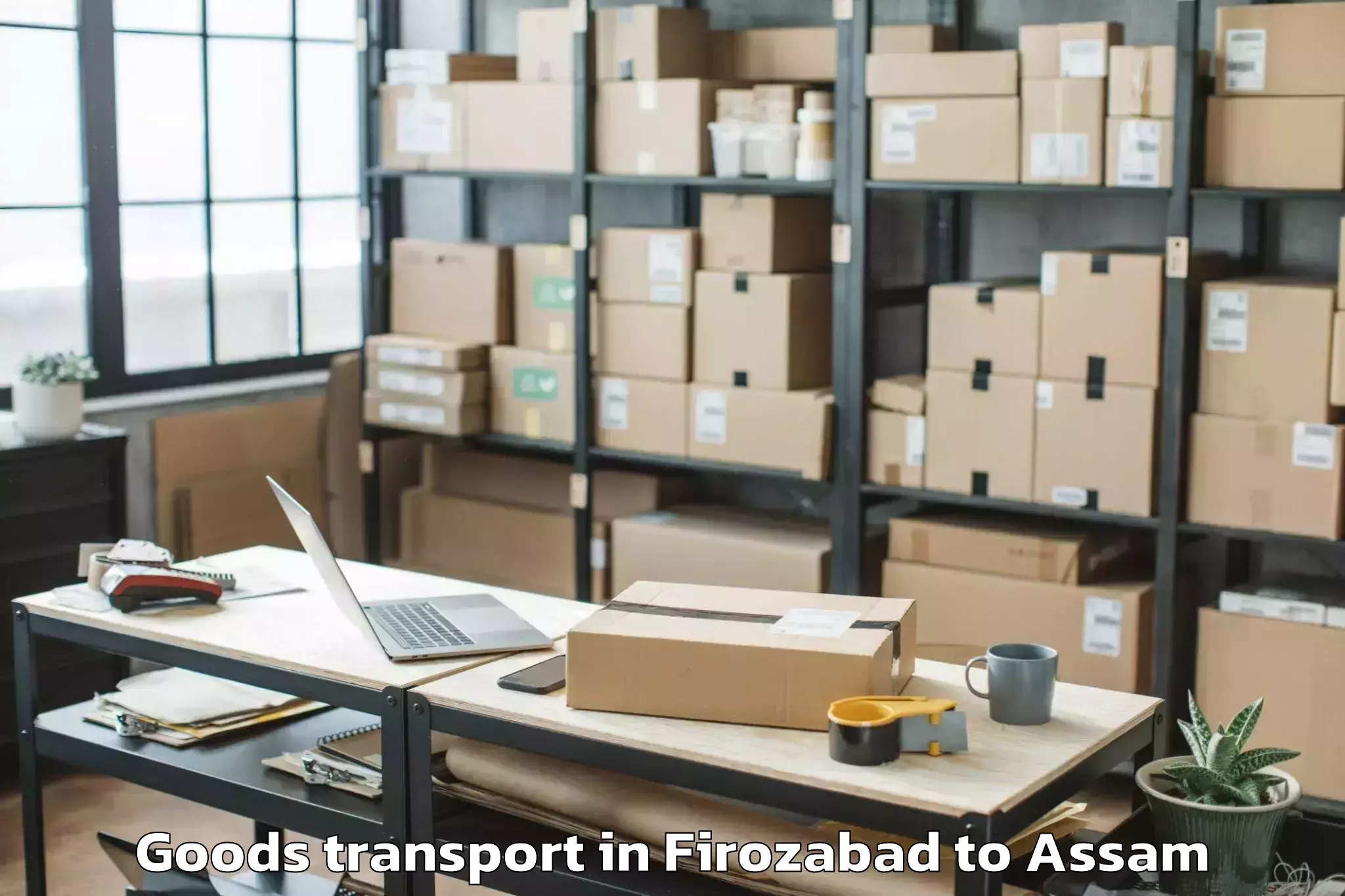 Hassle-Free Firozabad to Tezpur University Tezpur Goods Transport